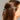 Haarspange aus Cellulose Acetat mit Dalmatiner Muster im Haar getragen.